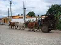 Rio Real - Carro de boi, Por cassivaldo