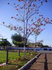 Araguaína - Parque de Exposições de Araguaina, Por Sabrynna