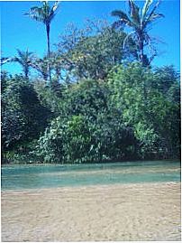 Rio Palma, Por Dilzen� Tavares