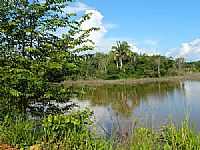Babaçulândia - Paisagem e o Rio Tocantins em Babaçulândia-TO-Foto:Janaina Cirqueira