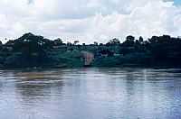 Babaçulândia - Via de acesso à Babaçulândia-TO-Foto:Tasso T. Slongo