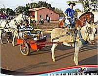 Cavalgada de Barrolândia