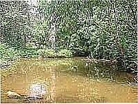 Lagoa-Foto:permutalivre