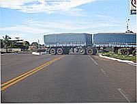 Figueir�polis por rutemar morari