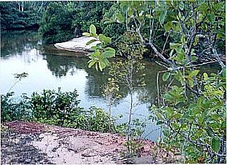 cidade de Goiatins