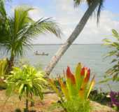 Mangue Seco/BA - Pousada - Pouso das Garças - Pousada e Restaurante.