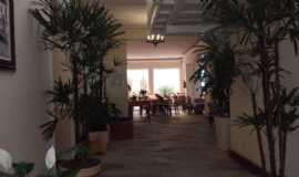 Rex Hotel