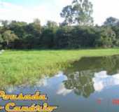 Areado/MG - Pousada - POUSADA DO CANÁRIO