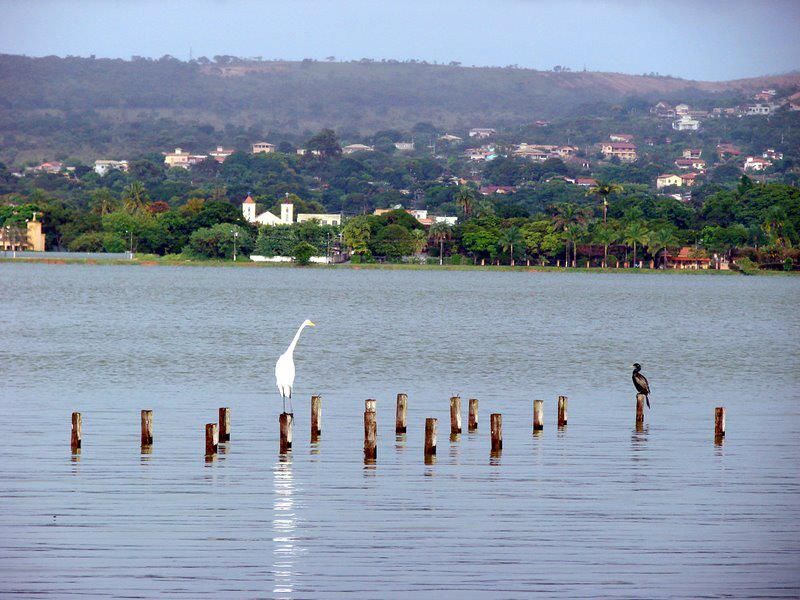 jardim ipe lagoa santa:Hospedagem Casa da Vó – Lagoa Santa-MG – Lagoa Santa jardim ipe lagoa santa:Hospedagem Casa da Vó – Lagoa Santa-MG – Lagoa Santa