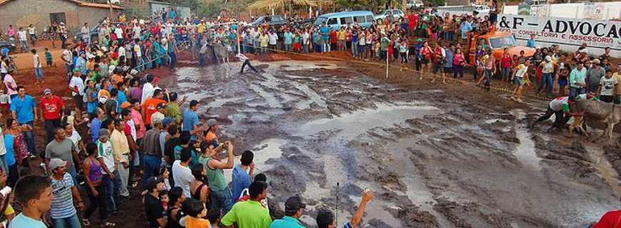 Bom Jesus do Araguaia-MT