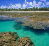 Pousadas - Praia Taipus de Fora - BA
