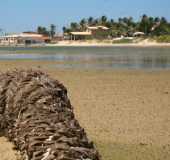 Pousadas - Jacarecoara - CE