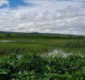 Fotos - Lagoa dos Crioulos - CE