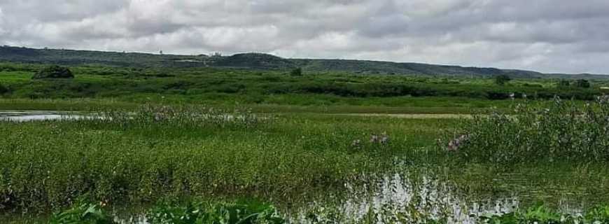 Lagoa dos Crioulos-CE