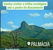 Pousadas - Palmcia - CE