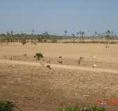 Pousadas - Santa Luzia - CE