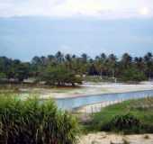 Fotos - Sapo - CE