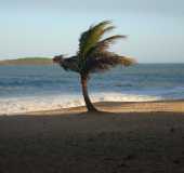 Fotos - Argolas - ES
