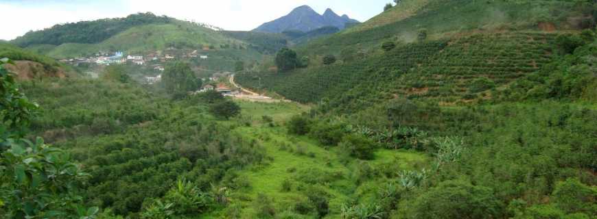 Santo Antnio do Muqui-ES