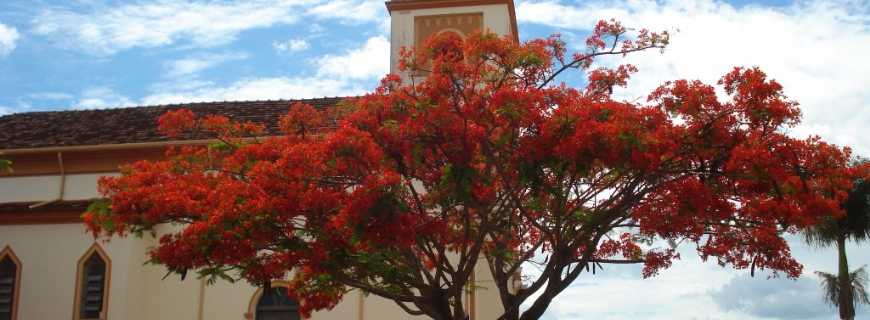 Abadia dos Dourados-MG