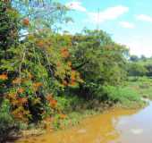 Pousadas - Angaturama - MG