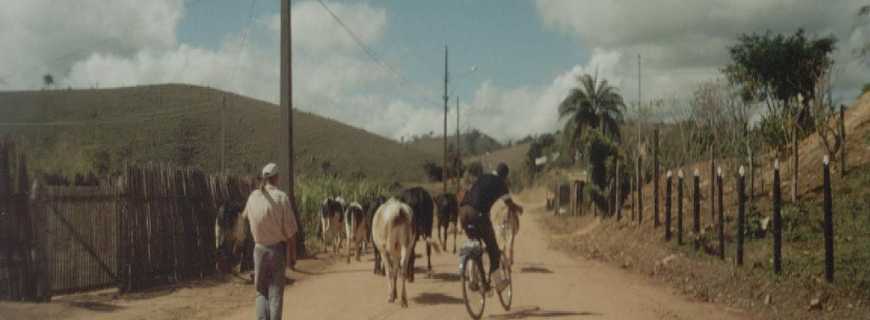 Cristiano Otoni-MG