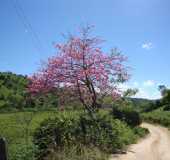 Pousadas - Estrela de Jordânia - MG