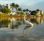 Fotos - Lagoa Formosa - MG