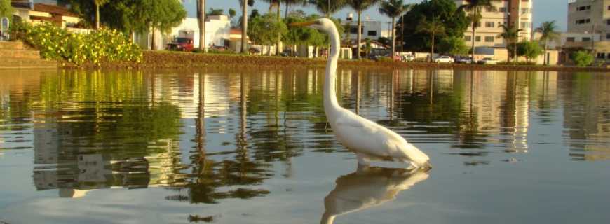 Lagoa Formosa-MG