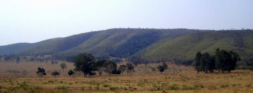 Ona de Pitangui-MG