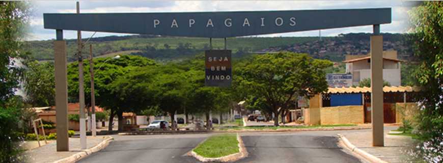 Papagaios-MG