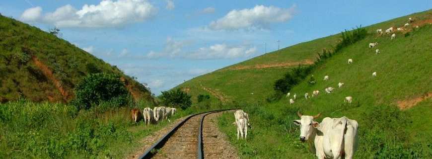 Penha Longa-MG