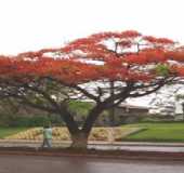 Pousadas - So Gonalo do Abaet - MG