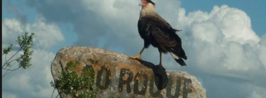 So Roque de Minas-MG