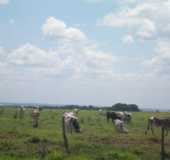 Pousadas - Cabeceira do Ap - MS