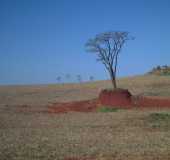 Pousadas - Campestre - MS