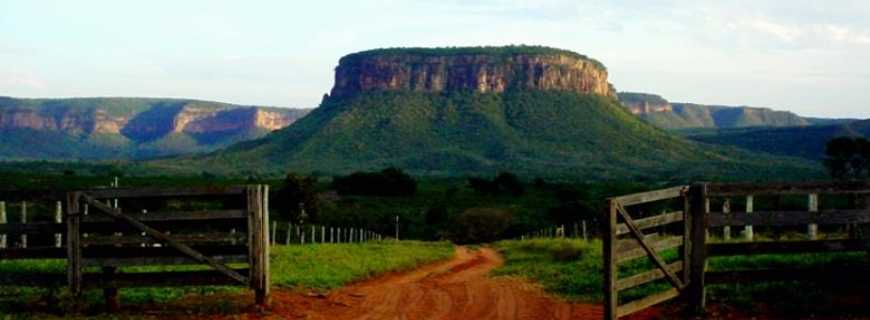 Rio Verde de Mato Grosso-MS