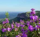 Fotos - Chapada dos Guimares - MT