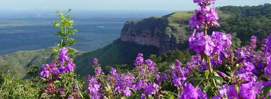 Chapada dos Guimares-MT