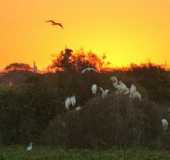 Pousadas - Fazenda de Cima - MT