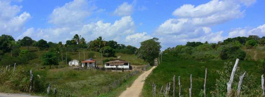 Lagoa de So Jos-PE