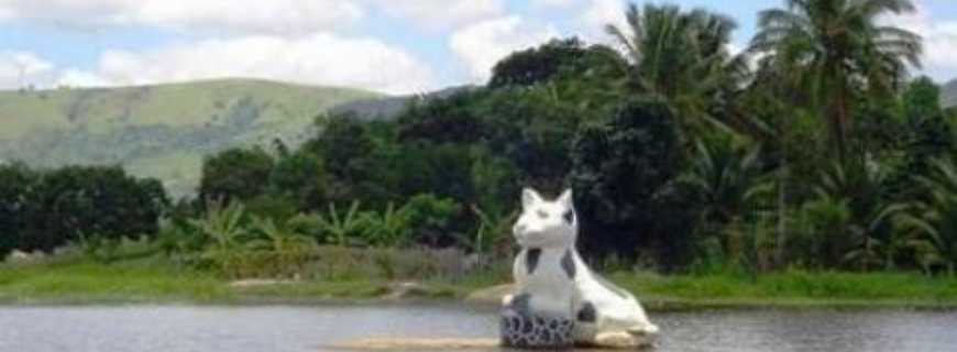 Lagoa dos Gatos-PE