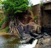 Fotos - Buriti dos Lopes - PI