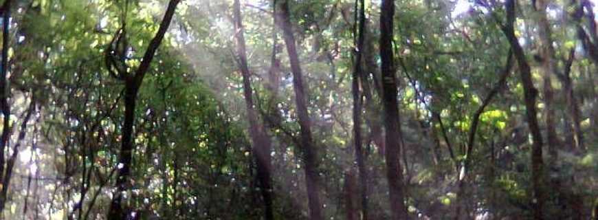 Cachoeira de So Jos-PR