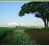 Pousadas - Esprito Santo - PR