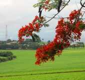 Pousadas - Itamb - PR