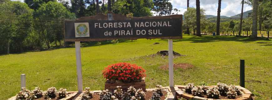 Pira do Sul-PR