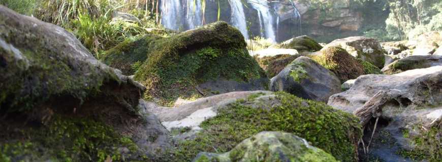 Ribeiro Bonito-PR