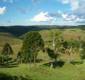 Pousadas - Vitria - PR