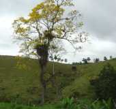 Pousadas - Jitana - BA